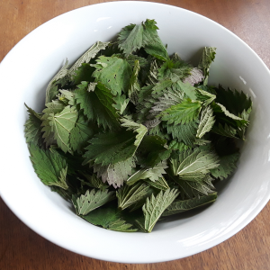 Bowl of Nettles