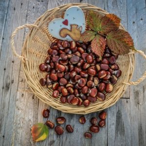 Chestnuts in basket