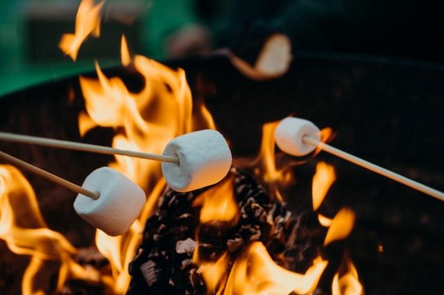 Wild Camping Marshmallows