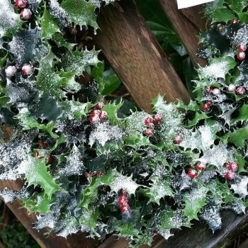 Holly Tree Wreath